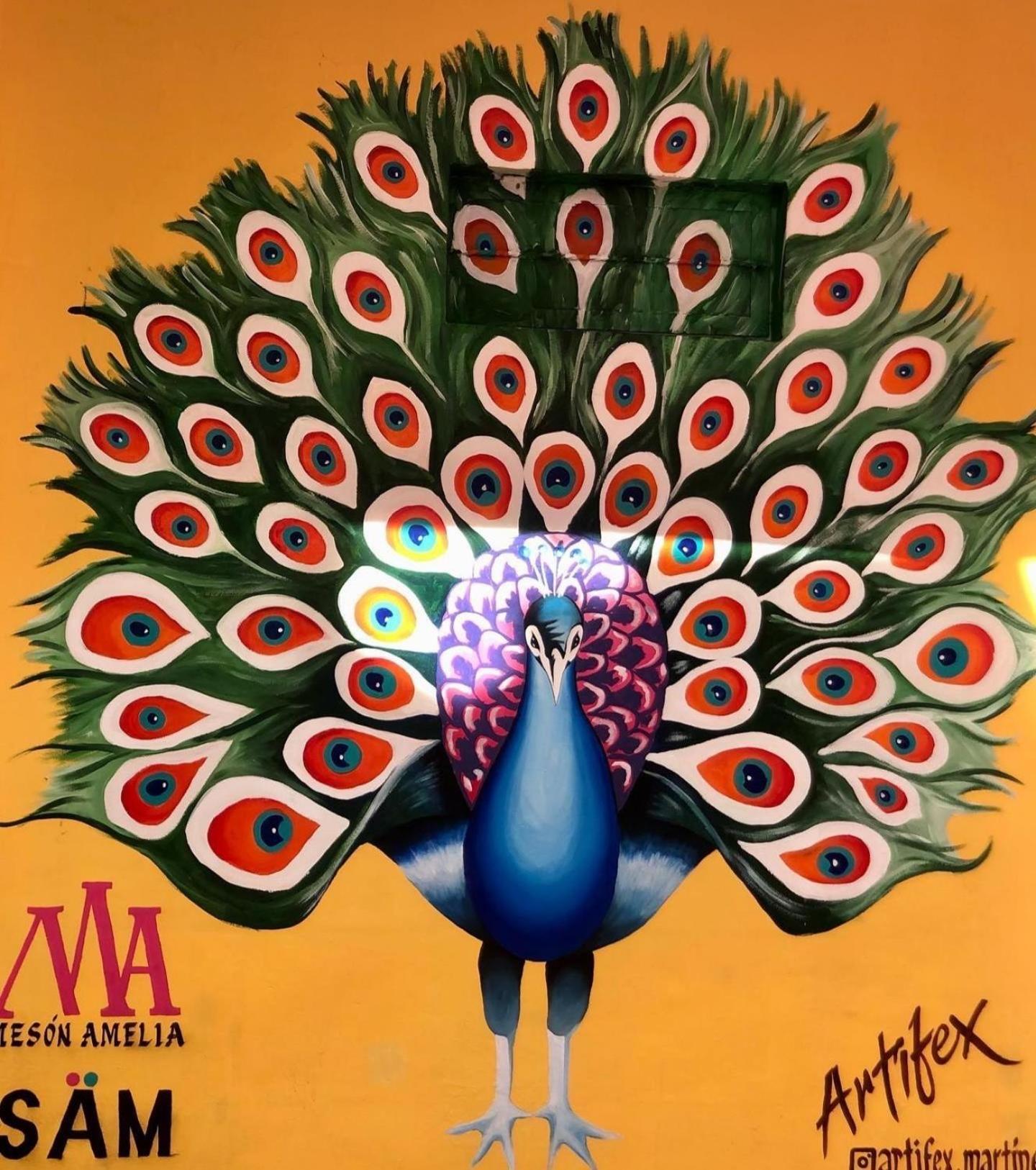 Meson Amelia 호텔 산미겔데아옌데 외부 사진